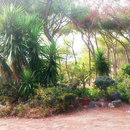 Sea View - 6 Beds - Sea 5 Minutes Away On Foot Hébergement de vacances